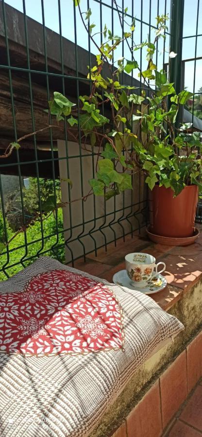Willa Casa Ernesto-Amica Dei Ciclisti Acquasparta Zewnętrze zdjęcie